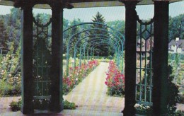 New York Syracuse Mills Rose Garden Thornden Park - Syracuse
