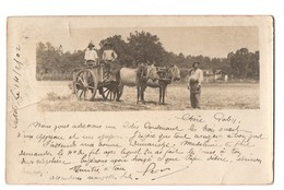 40 . CASTETS LE 14/02/1902 . ATTELAGE LANDAIS - Réf. N°3302 - - Castets