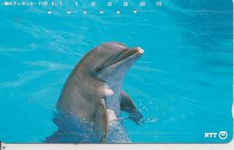 CARTE-MAGNETIQUE-JAPON-1991-DAUPHIN-TBE - Delfines