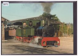 CPM - GRÖSSE 10x15cm - SCHINZNACHER BAUMSCHUL BAHN - TRAIN - TB - Schinznach 