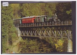 CPM - GRÖSSE 10x15cm - DVZO DAMPFZUG - BAHN - TRAIN - TB - Zoug