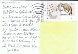 A+ Österreich 2010 Mi 2849 Wildkatze Auf Postkarte Ellmau - Lettres & Documents