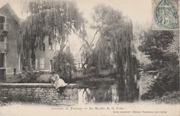 45 - DORDIVES - Le Moulin De La Folie - Dordives