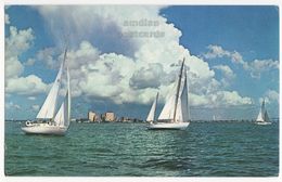 Sailboats And City Skyline Corpus Christi Bay Texas TX C1960s Vintage Postcard - Corpus Christi