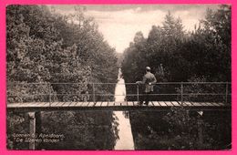 Hotel " De Vrijenberg " - Loenen Bij Apeldoorn " De Ijzeren Vonder " - Uitg. P.J. SCHUT - 1926 - Oblit. A. 745 - Apeldoorn