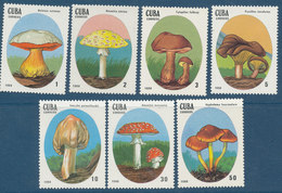 1988  Cuba Champignons  Yvert N° 2823/29,   Michel 2798/2801,  Scott 2619/22  Neufs MNH Série Complète - Neufs