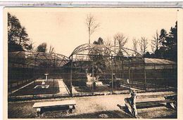 76    PARC  ZOOLOGIQUE  DE  CLERES  LES  VOLIERES     TBE  FF89 - 01 - Clères