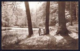 BOITSFORT - Etang De L'Ermite - Eremijvijver - Non Circulé - Not Circulated - Nicht Gelaufen. - Watermael-Boitsfort - Watermaal-Bosvoorde