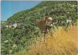 SUISSE,HELVETIA,SWITZERLAND,SVIZZERA,VALAIS,VALLEE ALPINE FERRAZ,ISERABLES,PRES NENDAZ,HABITANTE,FEMME AU TRAVAIL - Nendaz