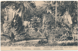 GUINEE, CONAKRY -  Jardin Public, Arbre - Fortier - Guinée