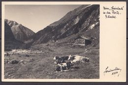 AUSTRIA , ZILLERTAL ,   OLD  POSTCARD - Zillertal