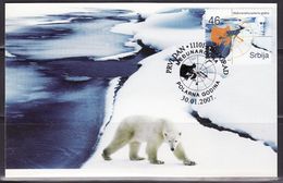 SERBIA 2007 INTERNATIONAL POLAR YEAR,BEAR,set,MC - Año Polar Internacional