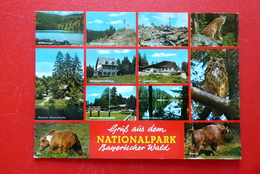 Gruß Aus Dem Nationalpark Bayerischer Wald - MBK - 1991 - Cham