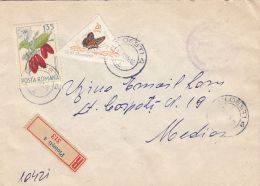 CORNELIAN CHERRY, POPLAR ADMIRAL BUTTERFLY, STAMPS ON REGISTERED COVER, 1965, ROMANIA - Lettres & Documents