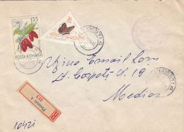 CORNELIAN CHERRY, POPLAR ADMIRAL BUTTERFLY, STAMPS ON REGISTERED COVER, 1965, ROMANIA - Covers & Documents
