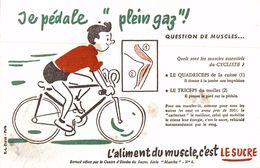 L ALIMENT DU MUSCLE C EST LE SUCRE - Sucreries & Gâteaux