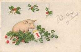 CPA MUSHROOMS, PIGS, CLOVER, HORSE SHOE, CALENDAR, MISTLETOE, SNOW - Hongos