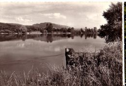 BRANGUES: Les Bords Du Rhône - Brangues