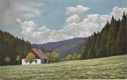 NOD Photochromie AK Schwarzwassertal A Breitenbrunn Erla Johanngeorgenstadt Jägerhof Rehefeld Serie II Nenke Ostermaier - Breitenbrunn