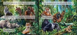 Centrafrica 2015, Animals In Danger, Tiger, Gorillas, 4val In BF +BF - Gorilles