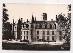 Neuvy-le-roi  , Château De Fontenaille - Neuvy-le-Roi
