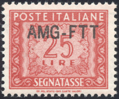 SEGNATASSE 1954 - 25 Lire, Soprastampa Modificata (25A), Ottima Centratura Gomma Originale Integra, ... - Altri & Non Classificati