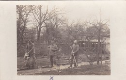 SOLDIERS GARDENING - Guerre 1914-18