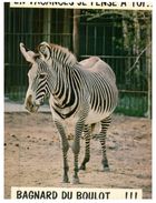 (M+S 106) Zebra (humour) - Zebra's