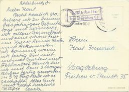 AK Landpost Schleibnitz Wanzleben Magdeburg Blumen-AK F. Funk 1962 #2379 - Wanzleben