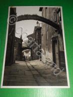 Delcampe - Cartolina Viterbo Pittoresca - Vicolo Della Bellavista 1940 Ca - Viterbo