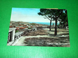 Cartolina Cagliari - Panorama Dal Terrapieno 1952 - Cagliari