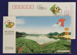 Lakeside Green Tea Garden,China 2006 Langxi Landscape Advertising Pre-stamped Card - Sonstige & Ohne Zuordnung