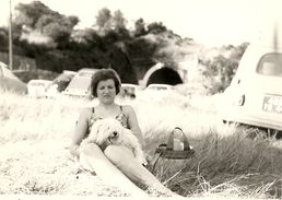 44  OUDON   1967    AU  PRINTEMPS SUR  LES  BORDS DE LA  LOIRE (  CHIEN +  VOITURES 2CV CITROEN  203 PEUGEOT  BREACK ) - Oudon