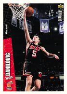 Sasha Danilovic - Upper Deck 1996-97 Collector's Choice - N.80 - 1990-1999