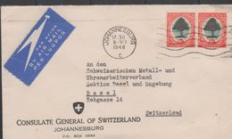 3150   Carta Aerea, Johannesburg 1948 Africa Del Sur, - Airmail