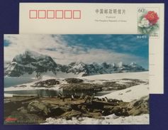 Antarctic Penguin,China 1999 Xiahua TV Set Product For Zhongshan Station Advertising Postal Stationery Card - Spedizioni Antartiche