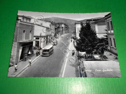 Delcampe - Cartolina Isernia - Corso Garibaldi 1950 Ca - Isernia