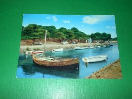 Cartolina Sardegna Pittoresca - Porto Pino - Scorcio Pittoresco 1978 - Cagliari