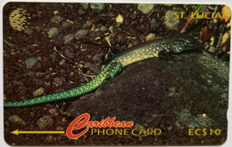 Saint Lucia Cable And Wireless EC$10  201CSLA "  Whip Tail Lizard " - St. Lucia