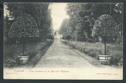 +++ CPA - TAMISE - TEMSE - TEMSCHE - Une Avenue Et La Rue Du Château - Albert Sugg Série 13 N° 7 // - Temse