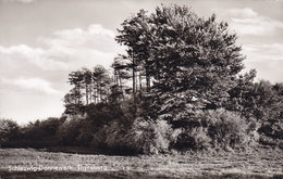 Germany PPC Schleswig-Dannewerk Thyraburg Echte Real Photo Véritable (2 Scans) - Schleswig