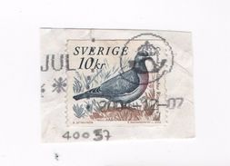 SVERIGE SVEZIA - Uccello Bird - Colombo Columba - Cartas & Documentos