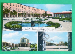 Cartolina Saluti Da Cortoghiana - 1961 - Cagliari