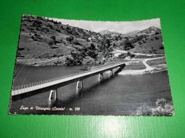 Cartolina Lago Di Verzegnis ( Carnia ) - Veduta 1960 - Udine