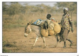 GAMBIE - Retour Du Marché - âne - Ezel - Donkey - Gambia