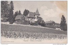 Begnins - Château De Cottens - Cottens