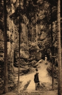 Uttewalder Grund, Sächs. Schweiz, Eingang In Die Teufelsschlüchte, Um 1910/20 - Wehlen