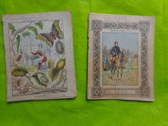 2  Cahiers Illustrés -la Sericiculture (ver A Soie)-chanzy- Beau Graphisme - Collections, Lots & Series