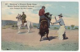 Cowboys Breaking A Western Range Horse - Bronco Busting C1910s Vintage Postcard - Other & Unclassified