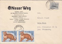 62189- NEUER WEG NEWSPAPER HEADER COVER, PLANE, CATS STAMPS, 1970, ROMANIA - Cartas & Documentos